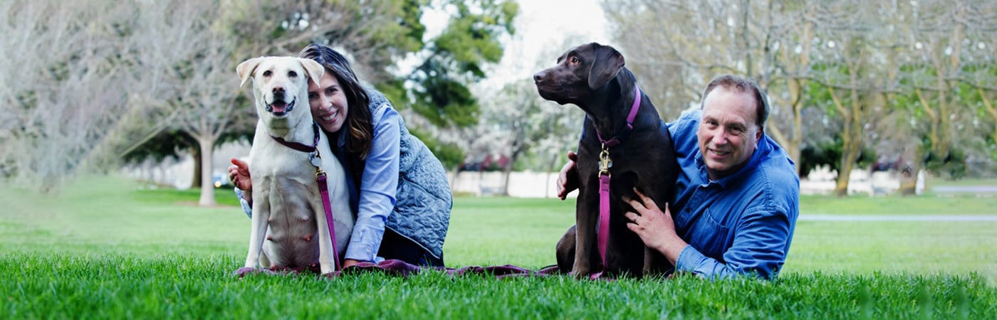 Promo Image